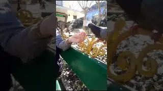 а**ший голубь