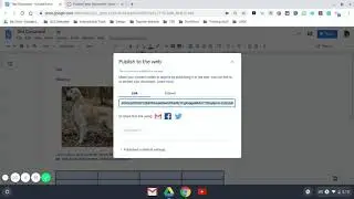 Publish your Google Doc (Docs 101)