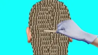 ASMR Treatment 2D Animation | Treating infections on the head | @HealAsmr914K
