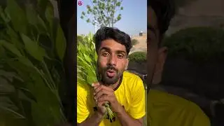 Ku 😂 #funny #shorts #ytshorts #comedy #reels #foryou #shortsfeed #moodon05 #viral #ku