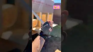 Детали детали детали 🤪#shorts