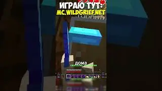 ИГРОК обманул МЕНЯ на МОЕМ СЕРВЕРЕ МАЙНКРАФТ #funtime #майнкрафт #minecraft #wildgrief