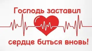 Господь заставил сердце биться вновь!