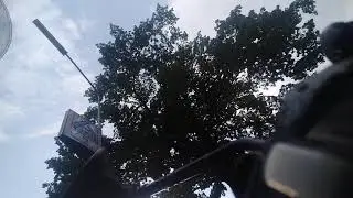Straten van Nijmegen blank na korte maar hevige regenval - 3 juni 2021