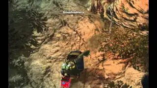 Drakensang Online - New Year