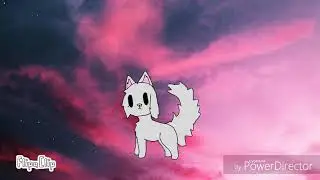 poneh meme