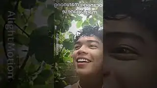 TIKTOK MEMES FUNNY MOMMENT V2 85