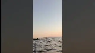 16.08.2024 Очередная 