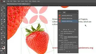 How to Upload Artwork Correctly for Custom Packaging