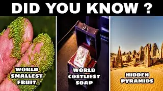 DID YOU KNOW ? | TOT#129 | TIPS O TIPS