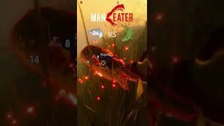Shark VS Alligator - Maneater Gameplay PS5