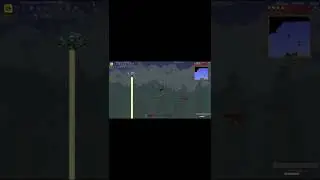 Лунная тарелка мем) Terraria 
