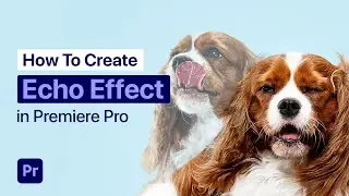 How to create an ECHO/GHOST EFFECT in Premiere Pro