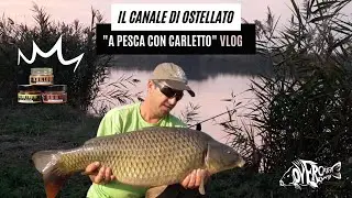 Il canale di Ostellato | A pesca con Carletto | CARPFISHING VLOG