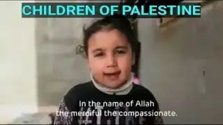 The Children Of Palestine
