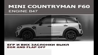 MINI F60 20d- чистка орехом  + отключение ЕГР и заслонок  / Off EGR and Flaps for MINI F60 20d B47