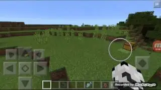 Minecraftta  Nasıl  Köpek  Barınağı  Yapılır