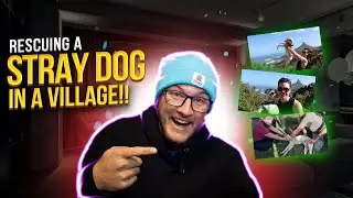 Saving a Stray Dog in an African Village