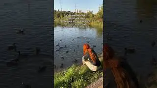 #Жизненно #юмор