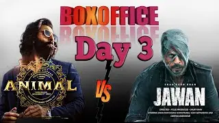 animal 3rd day box office collection | Animal vs JAWAN Day 3 box-office collection