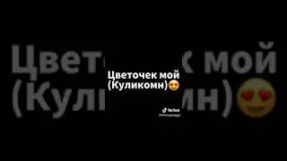 Курдские слова переводы