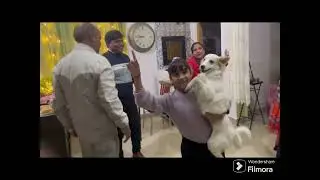 Surprise Birthday Party of Papa And then Night party at hotel 🍷👁️🎂#viral#birthday#surprise