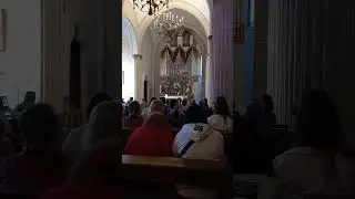 Ялта католический костел арган.