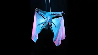 Luftakrobatik Duo - Showact für Veranstaltungen und Gala Events