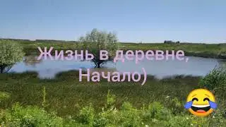 Нева МБ2 + Косилка Заря в Работе!