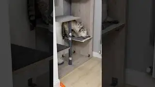 Новый домик (часть 3)