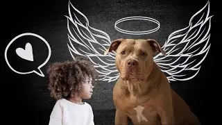 The Sweetest Pitbull Ever♡︎