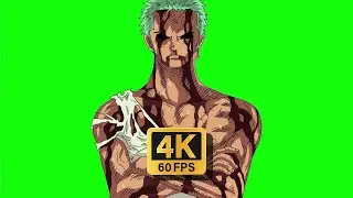 Zoro, Green Screen || Nothing Happened