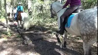 Karla Javi woods caveletti