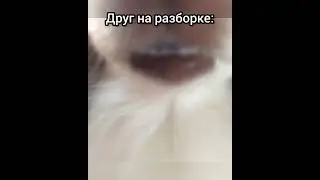Братки