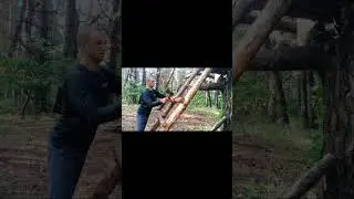 Tree house in the forest  Bushcraft  Shorts