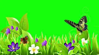 Beautiful Flowers Nature Green Animate Effects