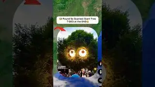 😰I Found So Scariest Giant Tree Caught On Google Earth 😱! #shorts #findwouldexploring