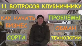 КЛУБНИКА🍓: ОБМАН, СОРТА, ПРОБЛЕМЫ, ТЕХНОЛОГИИ. КАК НАЧАТЬ БИЗНЕС НА КЛУБНИКЕ. ЛУЧШИЕ СОРТА КЛУБНИКИ🍓