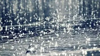 Rain &Thunder  beautiful Sounds, Nature. deep sleeping and study  nature enjoyment