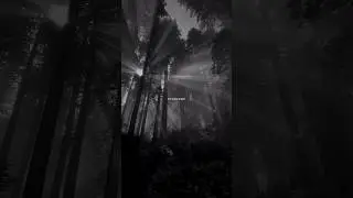Rihanna - Diamonds | So shine bright tonight | Aesthetic Video 