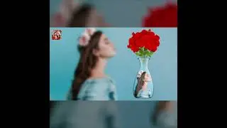 PIP Camera Photo Editor | Romantic Frames