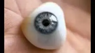 Ojos