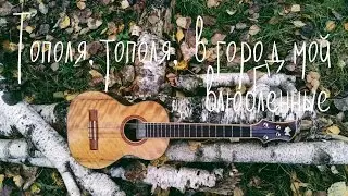 ТОПОЛЯ | УКУЛЕЛЕ | ТАБЫ | НОТЫ | UKULELESSONS.RU