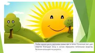 Естествознание 1 класс 4 урок