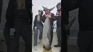 Big Tuna Dreams!