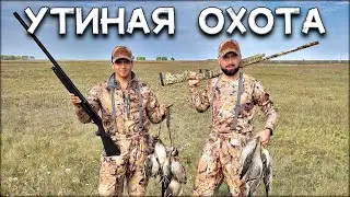 Осенняя охота на уток 2021 | Отличная утрянка в Сибири