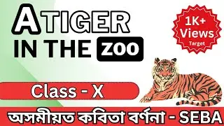 A tiger in the zoo / Class - 10 English/ Poem Explanation/ SEBA / in Assamese by Biju Sir