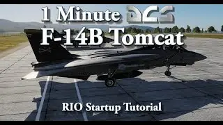 1 Minute DCS - F-14B Tomcat - RIO Startup Tutorial