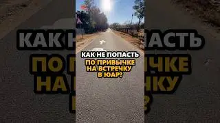 Как не попасть на встречку, когда не привык к левостороннему?