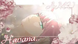 [AMV]Havana🪷